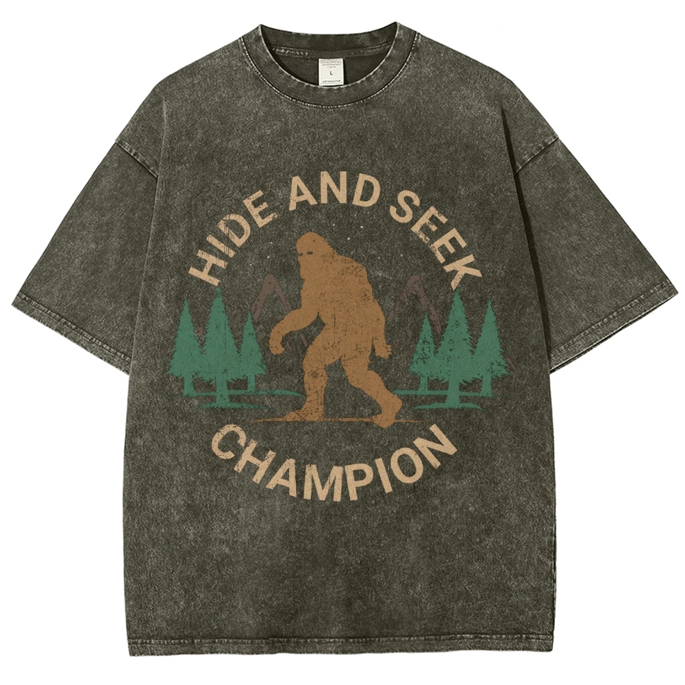 Hide And Seek Champion Vintage Snowflake Washed T-Shirt-moweekender