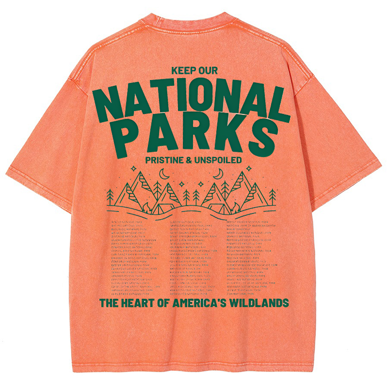 National Parks Vintage Snowflake Washed T-Shirt-moweekender