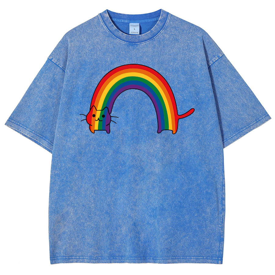 Rainbow Cat Washed Oversized T-Shirt-moweekender