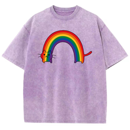 Rainbow Cat Washed Oversized T-Shirt-moweekender