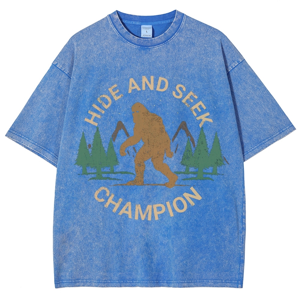 Hide And Seek Champion Vintage Snowflake Washed T-Shirt-moweekender
