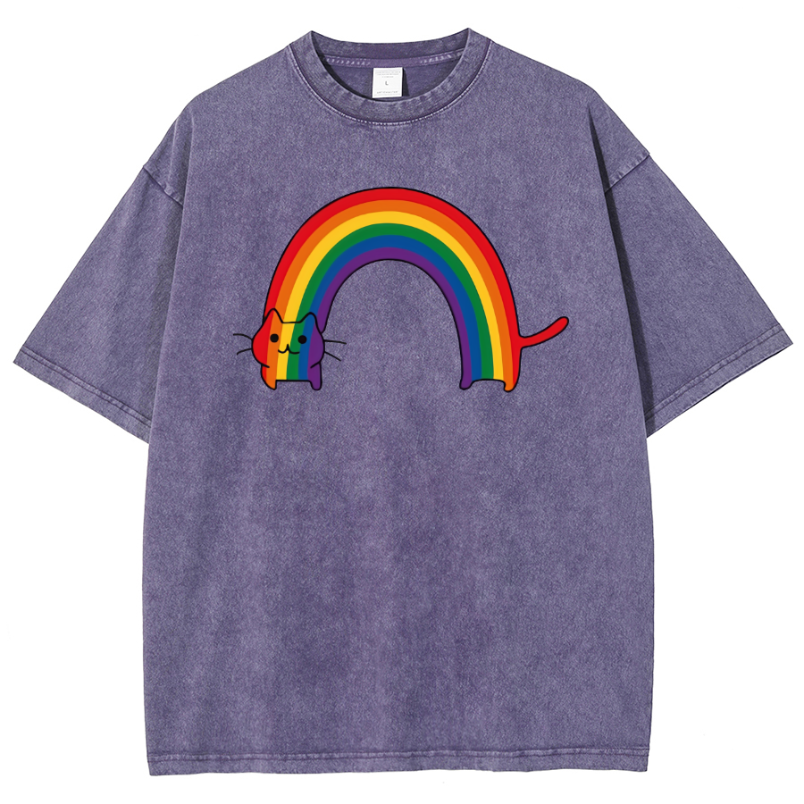 Rainbow Cat Washed Oversized T-Shirt-moweekender