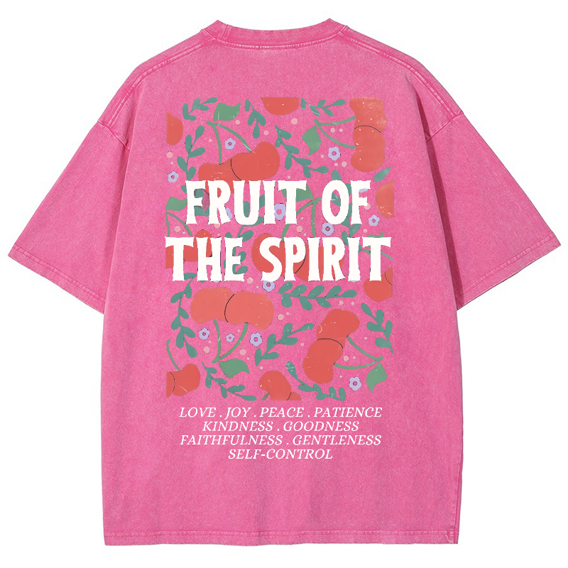 Fruit Of The Spiri Vintage Snowflake Washed T-Shirt-moweekender