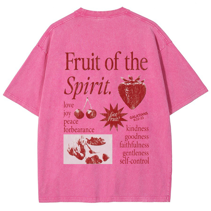 Fruit Of The Spirit Vintage Snowflake Washed T-Shirt-moweekender