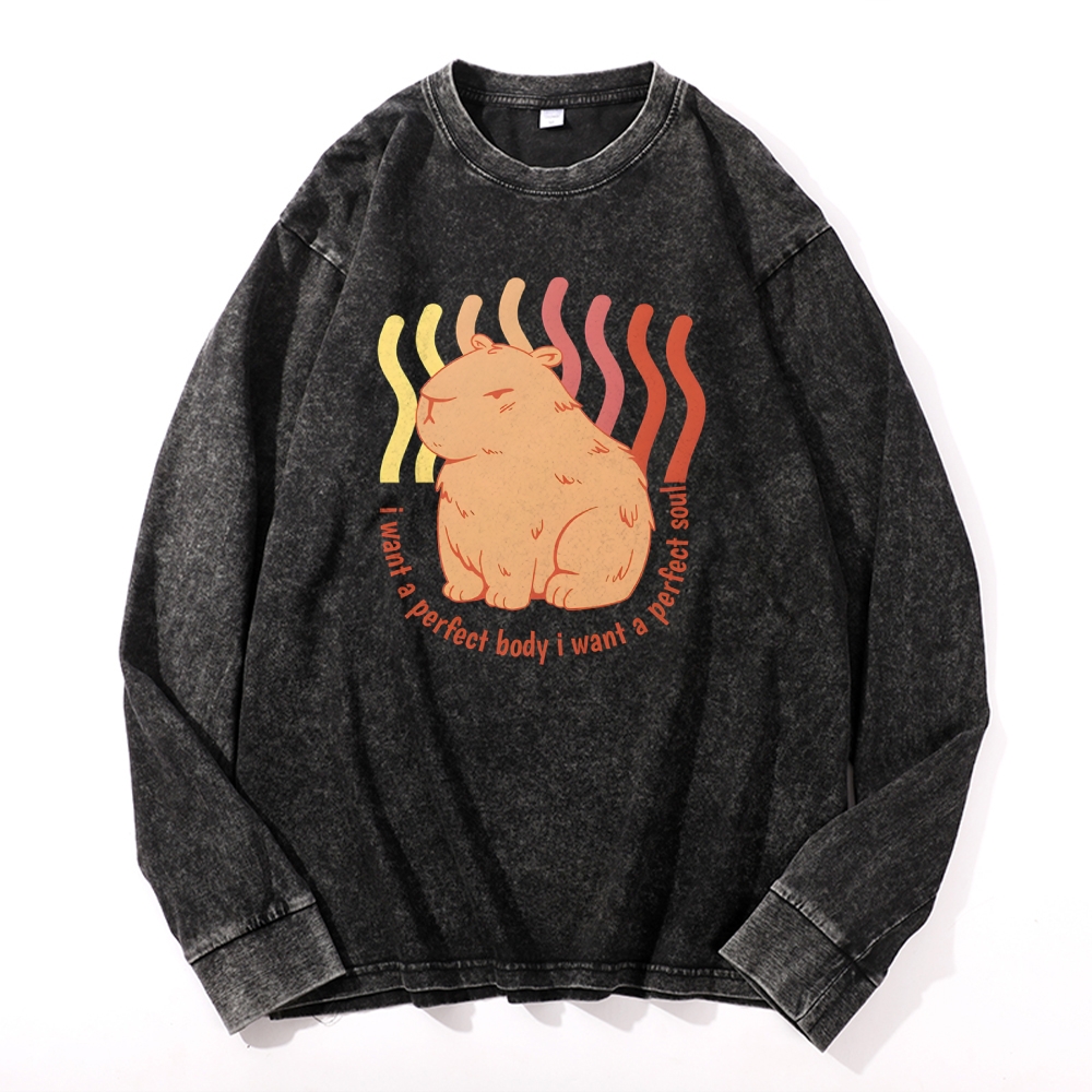 Capybara Casual Deep Washed Vintage Long Sleeves T-Shirt-moweekender