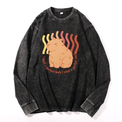 Capybara Casual Deep Washed Vintage Long Sleeves T-Shirt-moweekender