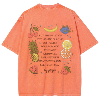 Fruit Of The Spirit Vintage Snowflake Washed T-Shirt-moweekender