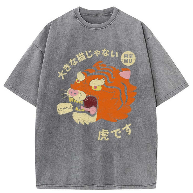 It's Not A Big Cat Washed Vintage T-Shirt-moweekender