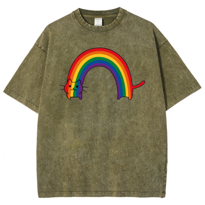Rainbow Cat Washed Oversized T-Shirt-moweekender