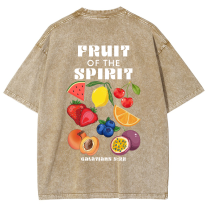 Fruit Of The Spirit Vintage Snowflake Washed T-Shirt-moweekender
