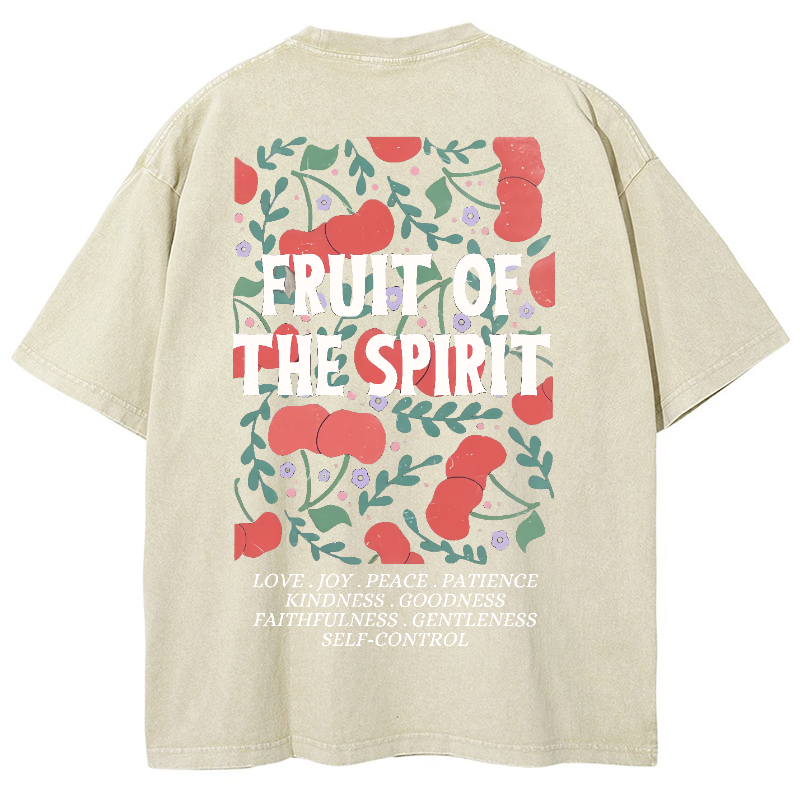 Fruit Of The Spiri Vintage Snowflake Washed T-Shirt-moweekender