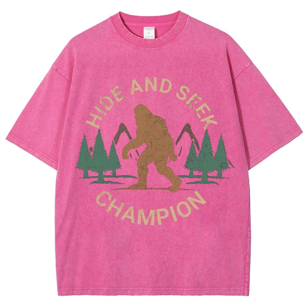 Hide And Seek Champion Vintage Snowflake Washed T-Shirt-moweekender