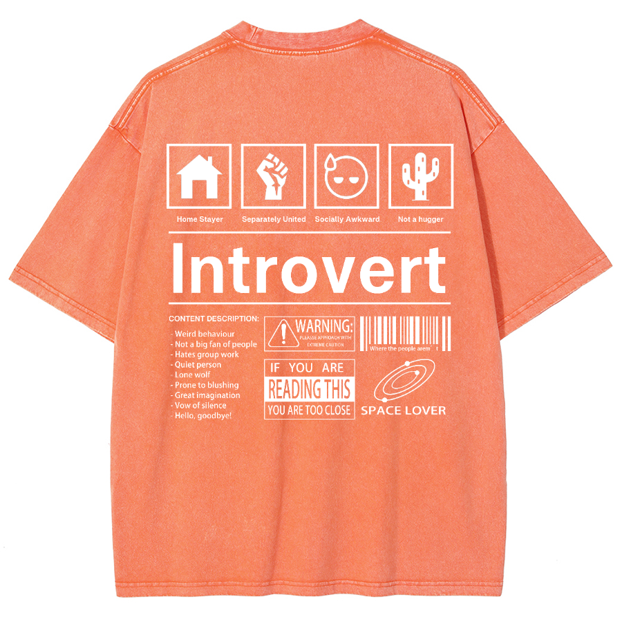 Introvert Label Wall Unisex Fit Washed Oversized T-Shirt-moweekender