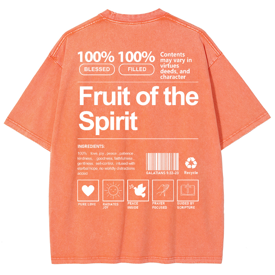 Fruit Of The Spirit Unisex Fit Washed Oversized T-Shirt-moweekender