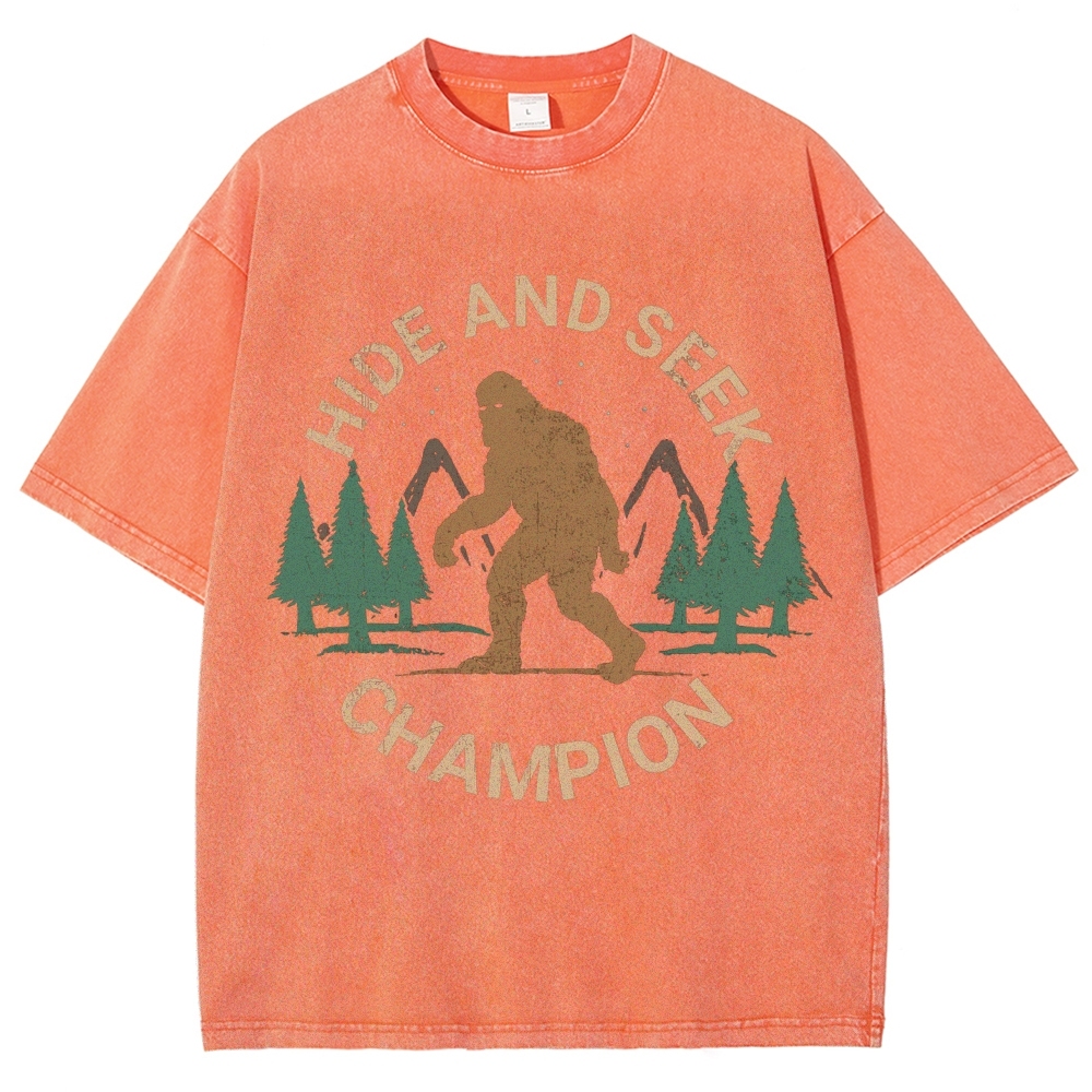 Hide And Seek Champion Vintage Snowflake Washed T-Shirt-moweekender