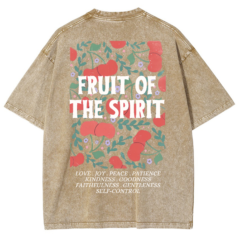Fruit Of The Spiri Vintage Snowflake Washed T-Shirt-moweekender