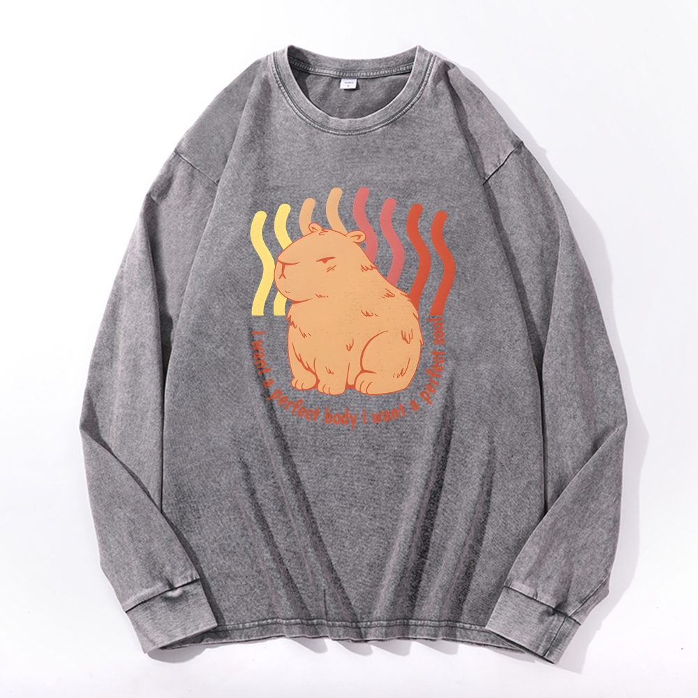 Capybara Casual Deep Washed Vintage Long Sleeves T-Shirt-moweekender
