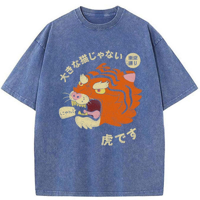 It's Not A Big Cat Washed Vintage T-Shirt-moweekender