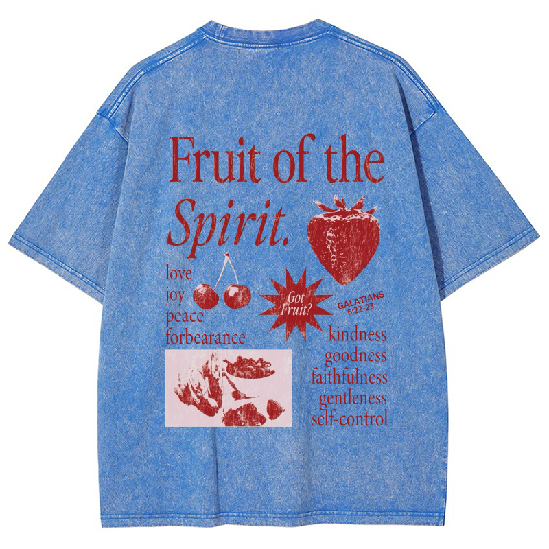 Fruit Of The Spirit Vintage Snowflake Washed T-Shirt-moweekender