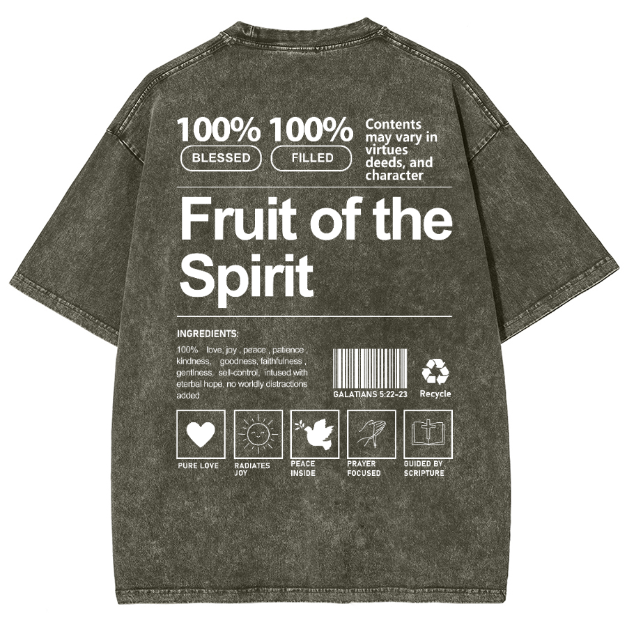 Fruit Of The Spirit Unisex Fit Washed Oversized T-Shirt-moweekender