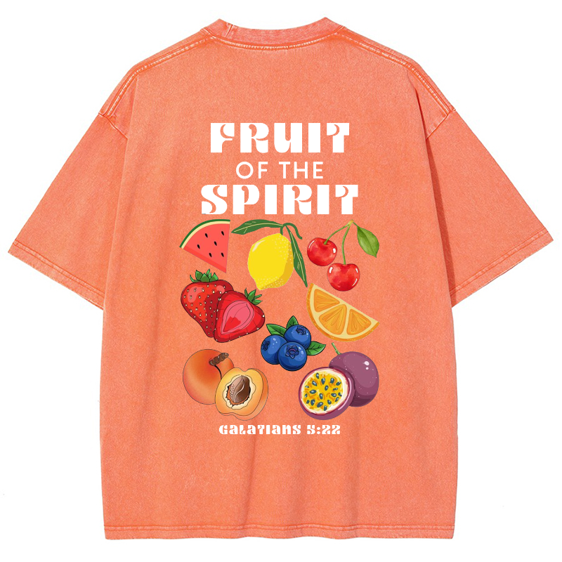 Fruit Of The Spirit Vintage Snowflake Washed T-Shirt-moweekender