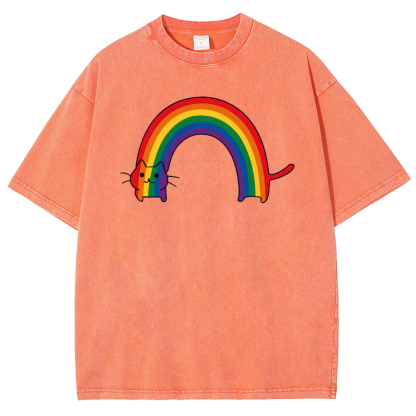 Rainbow Cat Washed Oversized T-Shirt-moweekender