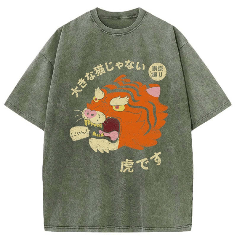 It's Not A Big Cat Washed Vintage T-Shirt-moweekender