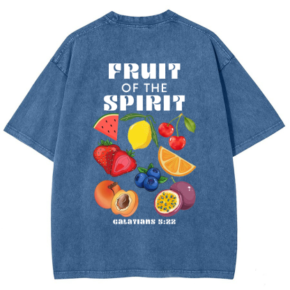 Fruit Of The Spirit Vintage Snowflake Washed T-Shirt-moweekender
