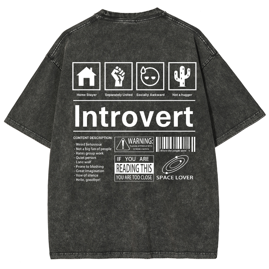 Introvert Label Wall Unisex Fit Washed Oversized T-Shirt-moweekender