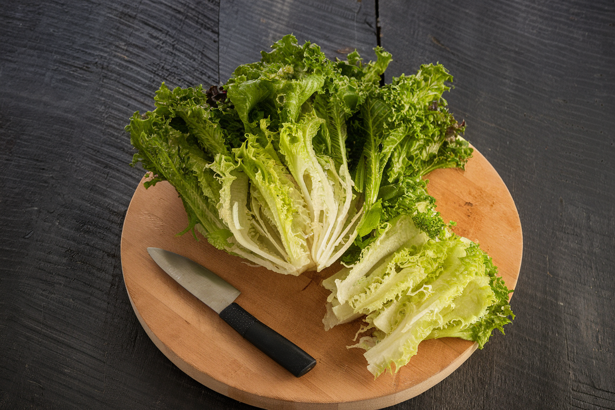 Organic Endive Seeds from Curlesi, perfect for growing fresh, nutritious salads