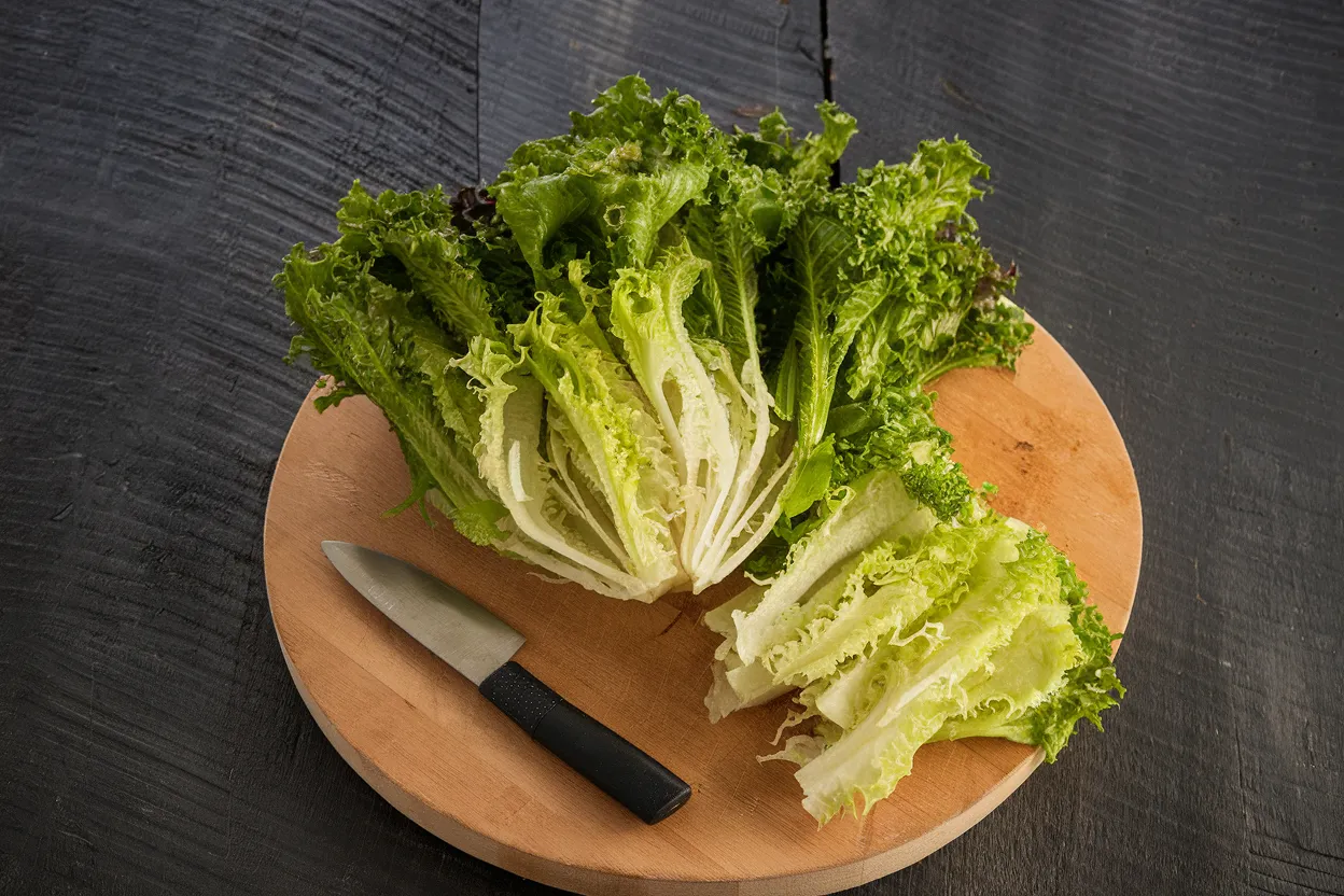 Organic Curlesi endive seeds, ideal for promoting natural garden health and sustainability