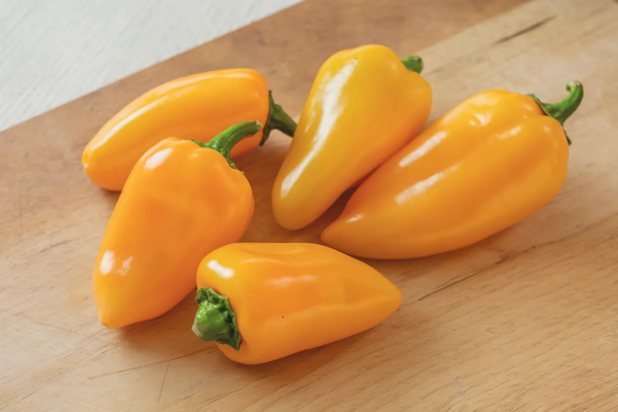 Organic yellow snack pepper seeds, ideal for growing nutritious, fresh snacks at home