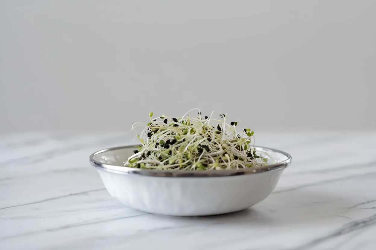 Organic onion seeds ideal for natural sprouting and garden enhancement