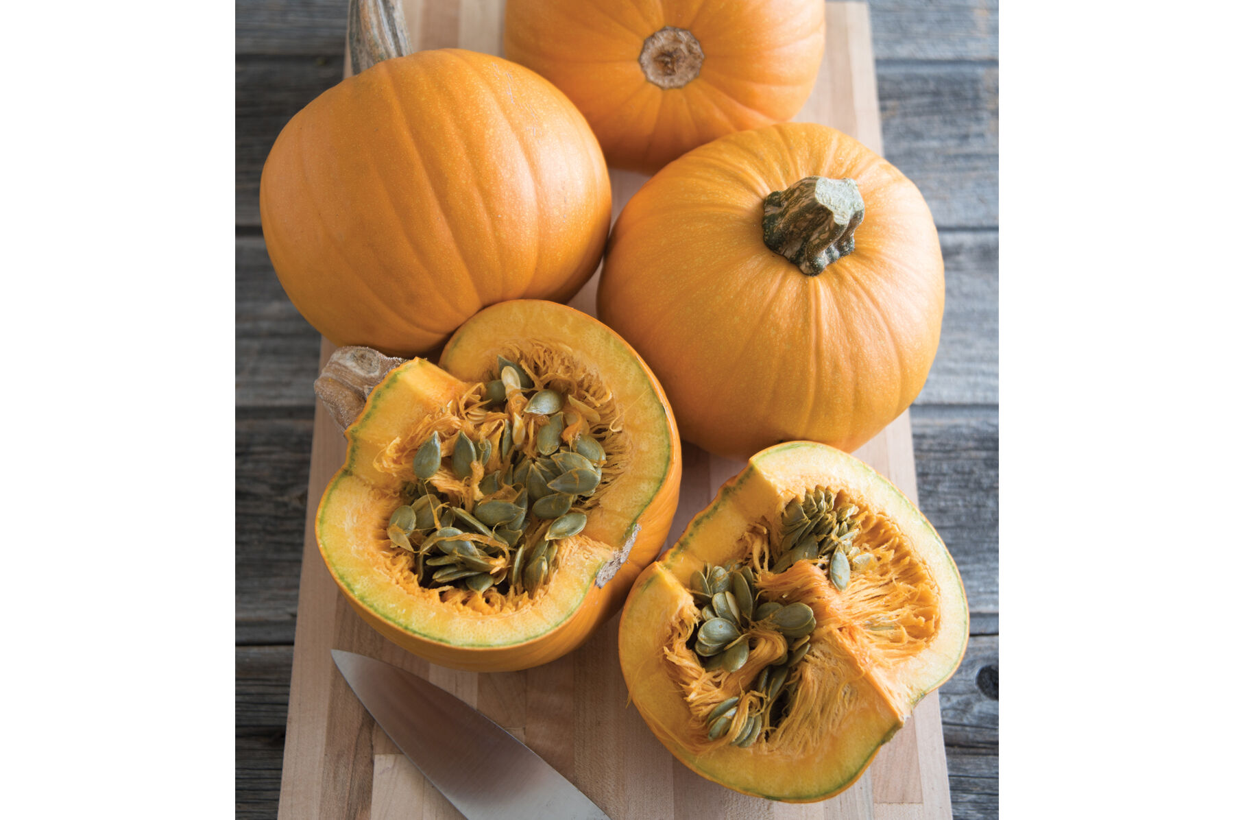 Organic F1 pumpkin seeds, perfect for enriching garden soil and boosting plant health