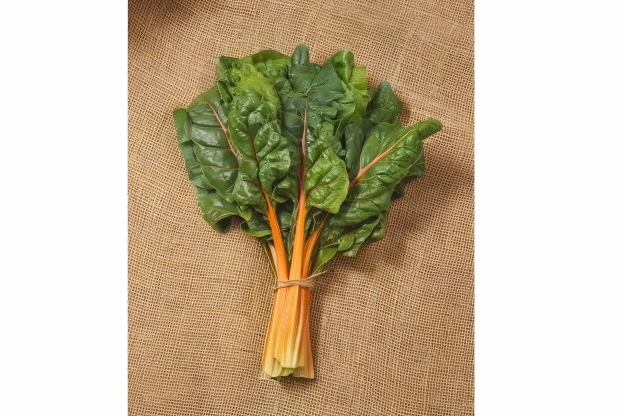 Organic Swiss Chard Seeds, perfect for nutritious salads and healthy diet plans