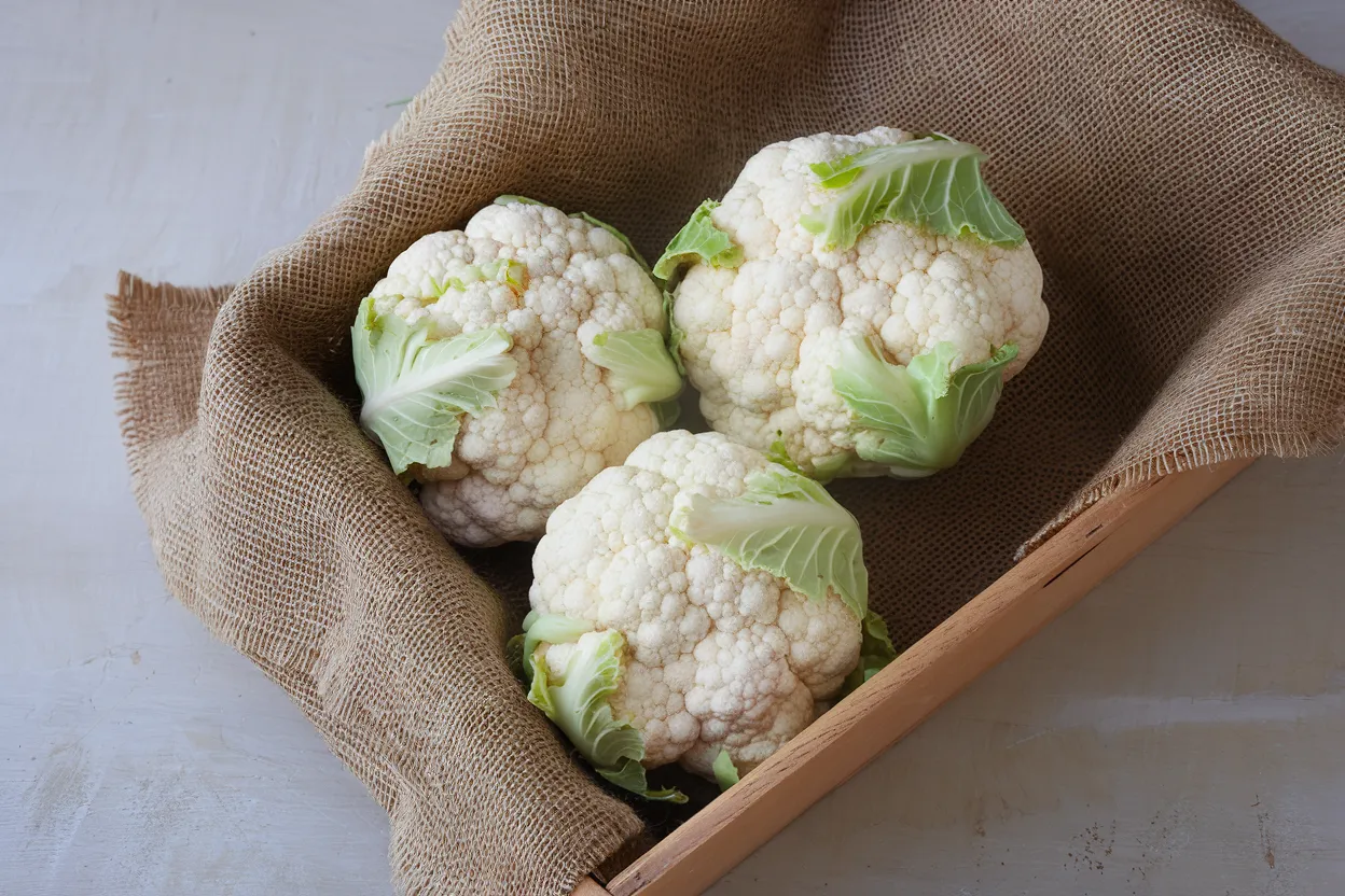 Paxton organic F1 cauliflower seeds, perfect for producing robust, healthy cauliflowers.