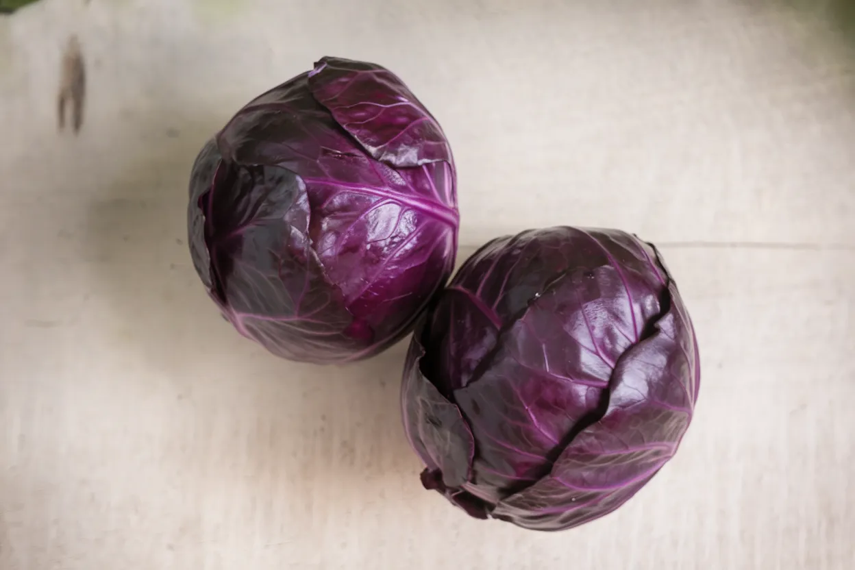Organic Integro cabbage seeds, perfect for cultivating robust and healthy cabbages.