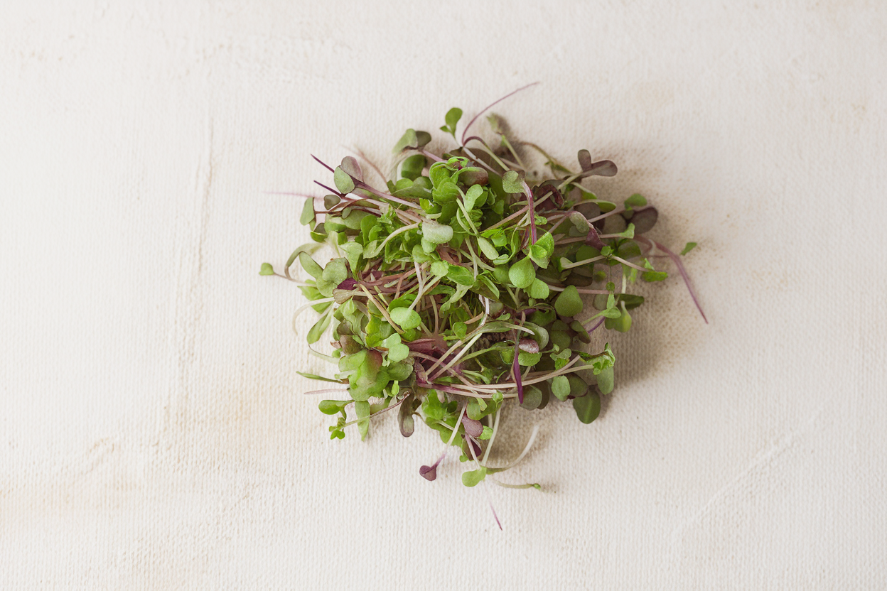 Organic seeds for growing Mild Micro Mix, ideal for healthy and fresh microgreens