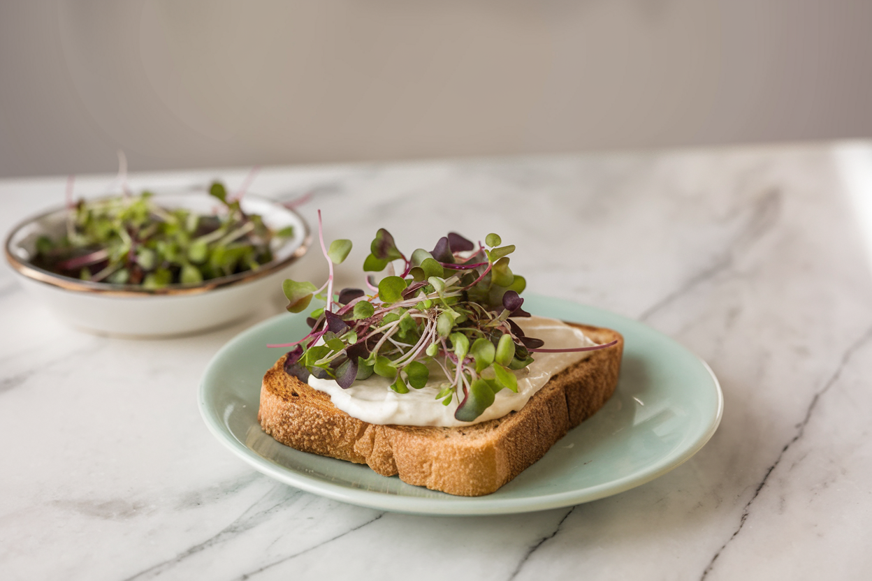 Organic seeds for growing Mild Micro Mix, ideal for healthy and fresh microgreens