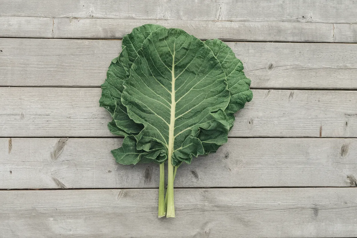 High-quality organic collard seeds, ideal for enhancing garden health and sustainability
