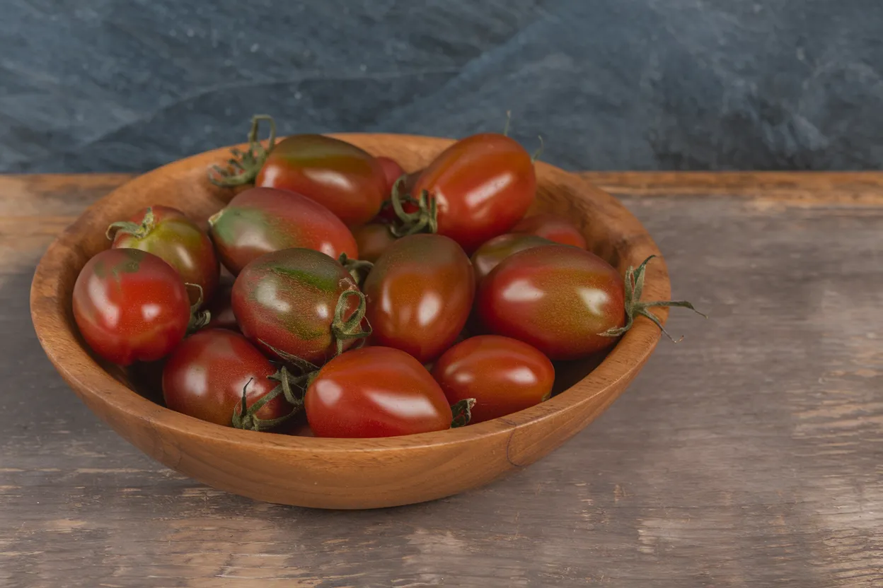Organic Bronze Torch F1 tomato seeds, perfect for growing robust and healthy tomatoes in home gardens