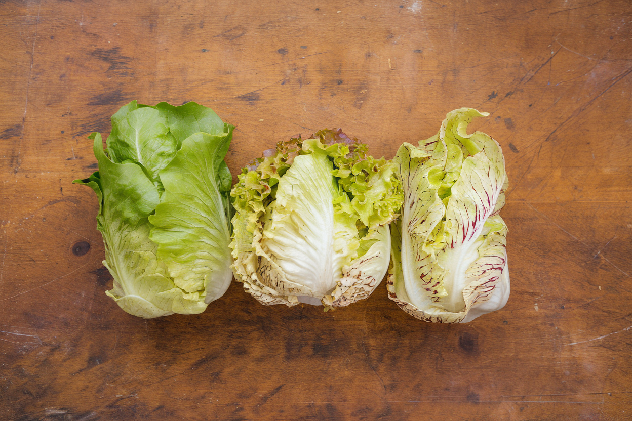 Organic Giorgione radicchio seeds ideal for enriching gourmet salads