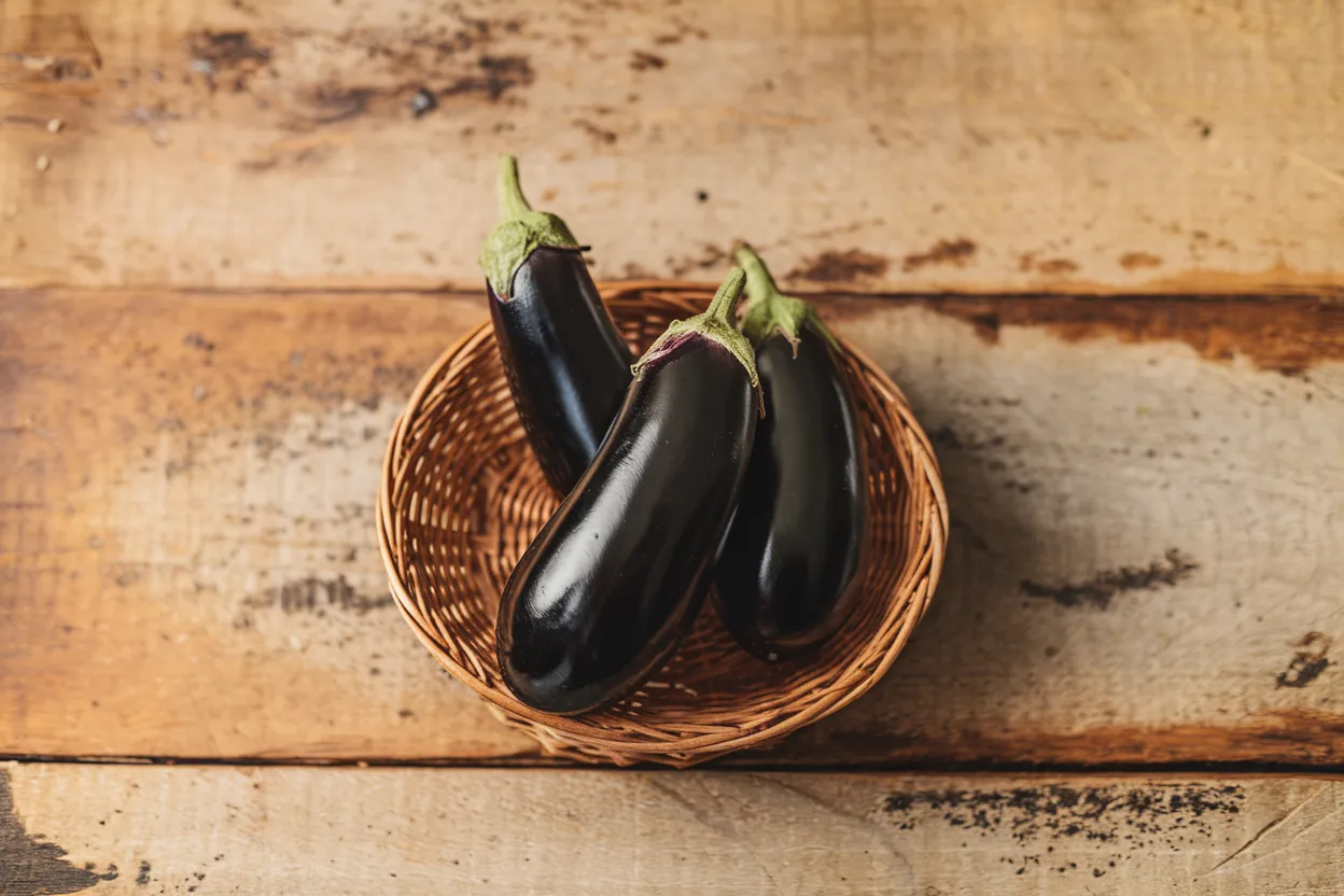Organic F1 Nigral eggplant seeds, perfect for enhancing garden health and vegetable quality