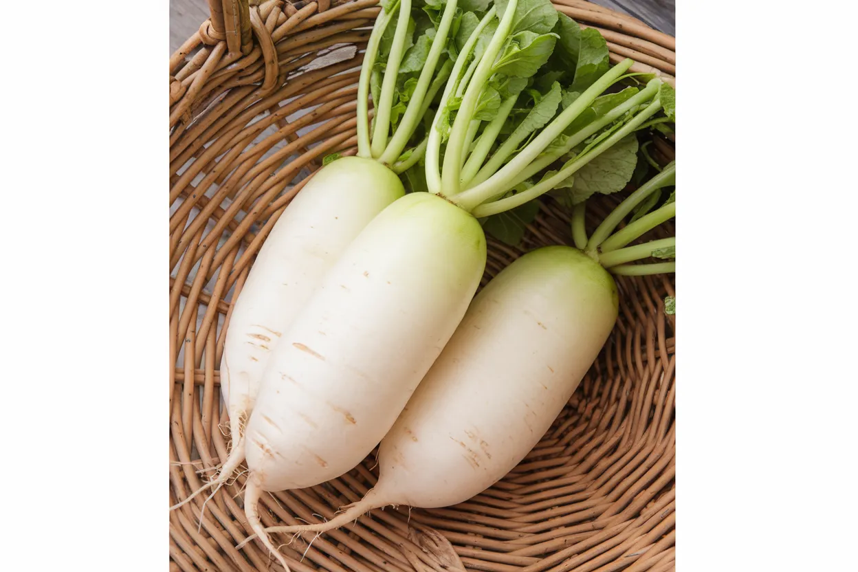 Organic Alpine radish seeds, perfect for quick growth and fresh salads