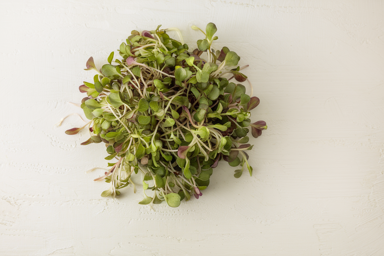 Organic Kale KX-1 seeds ideal for growing fresh, healthy microgreens at home