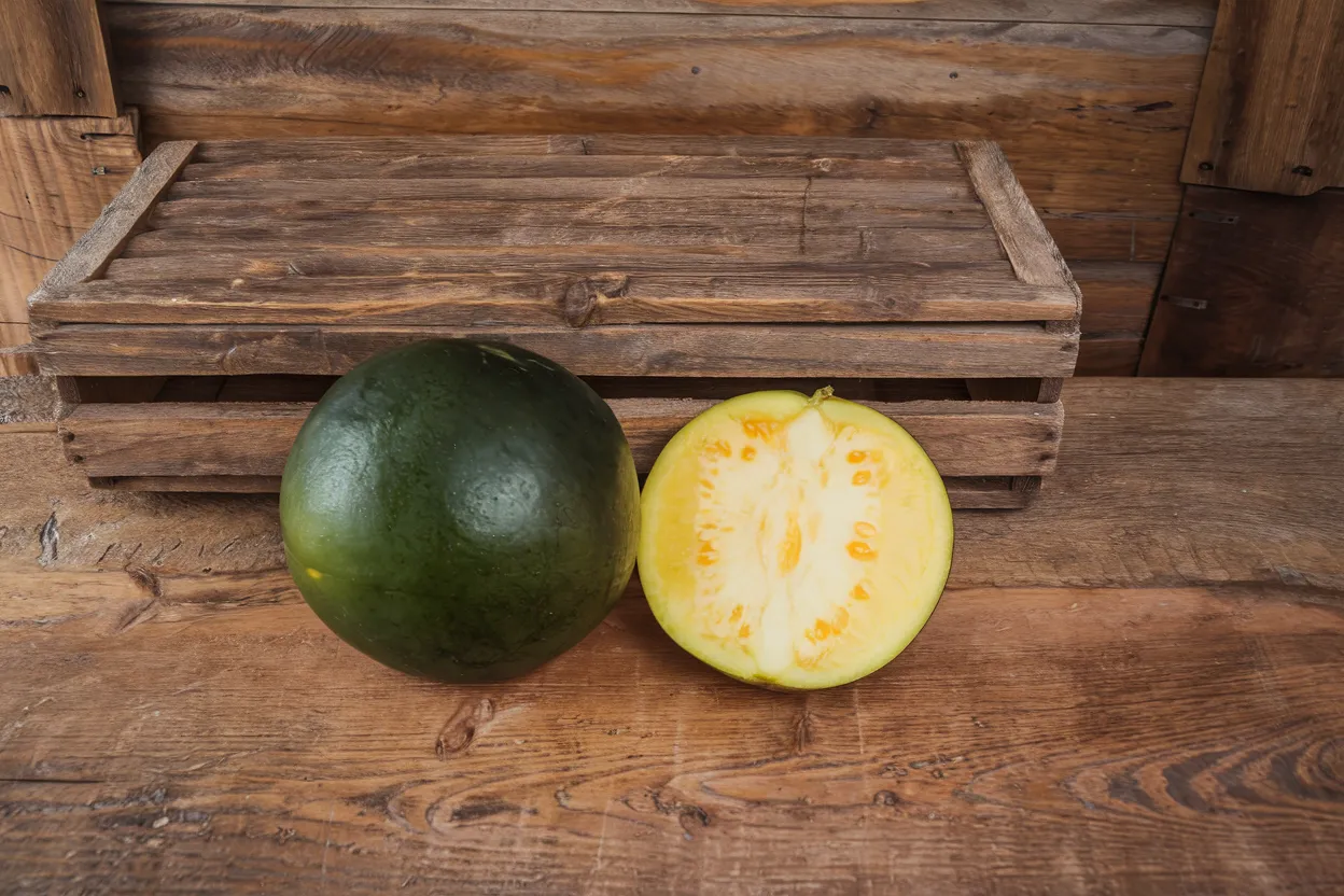 Organic Tropical Sunshine watermelon seeds, perfect for home gardening and fresh, juicy watermelons