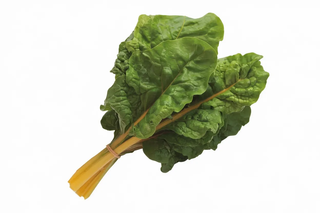 Organic Swiss chard seeds, ideal for cultivating nutritious greens in home gardens