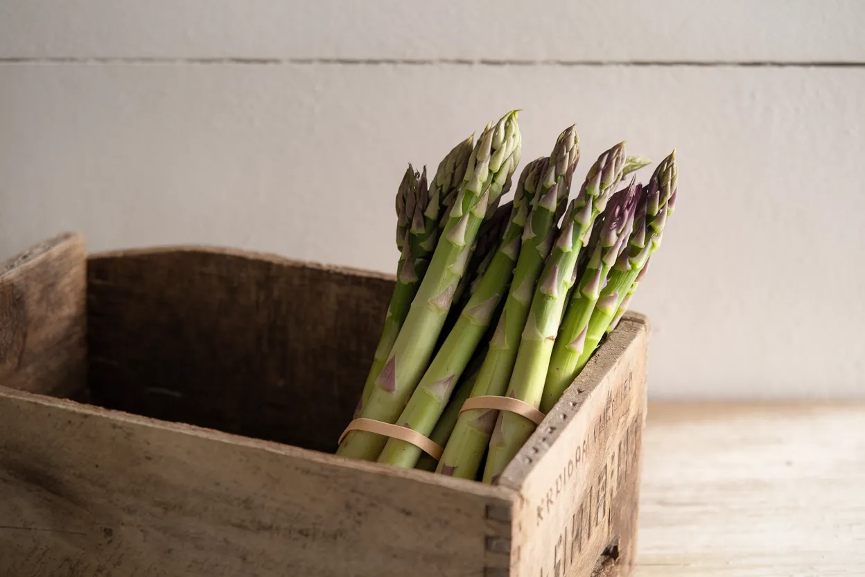Organic Millennium Asparagus Crowns, perfect for sustainable garden enhancement