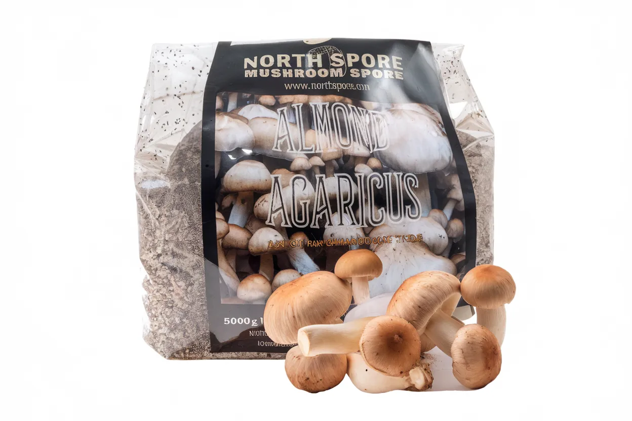 Organic Wine Cap mushroom spawn, perfect for enhancing soil quality and garden health