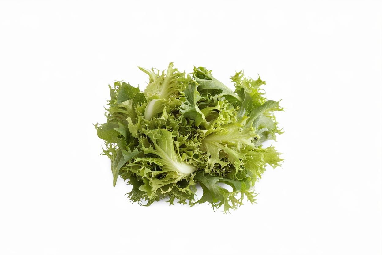Organic lettuce seeds from the Coastline series, perfect for eco-friendly gardening